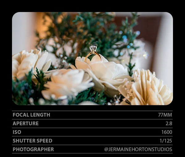 Focal Length 77mm, Aperture 2.8, ISO 1600, Shutter Speed 1/125, Photographer JermaineHortonStudio