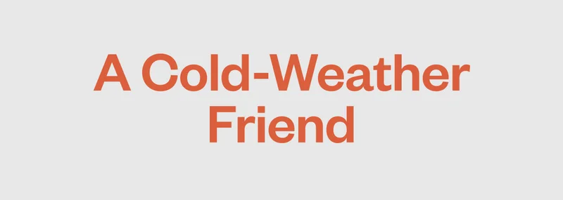 A Cold-Weather Friend