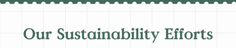 Our Sustainability Efforts