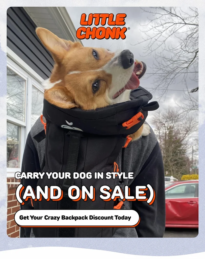 Carry your dog in style (AND ON SALE)