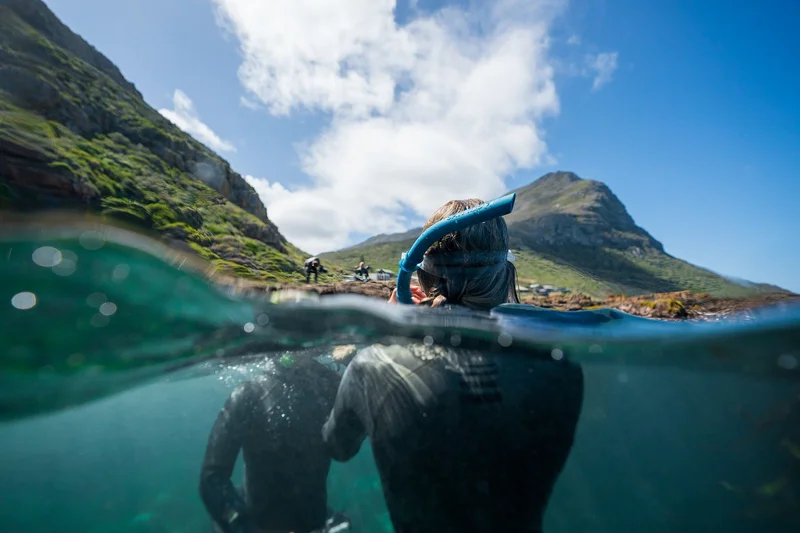 Diving in Cape Town, South Africa