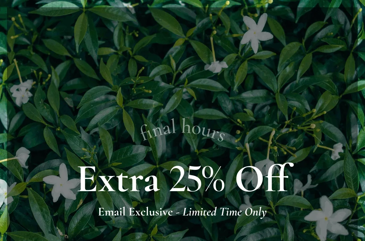 final hours | Extra 25% Off | Email Exclusive ~ Limited Time Only