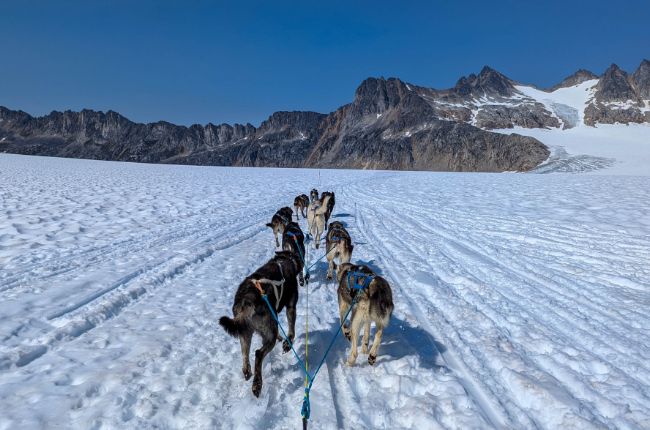 Dog Sledding Excursion – Click to Learn More