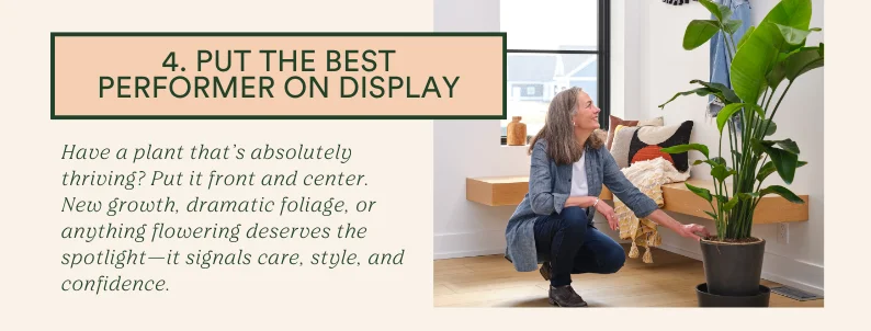 put the best performer on display