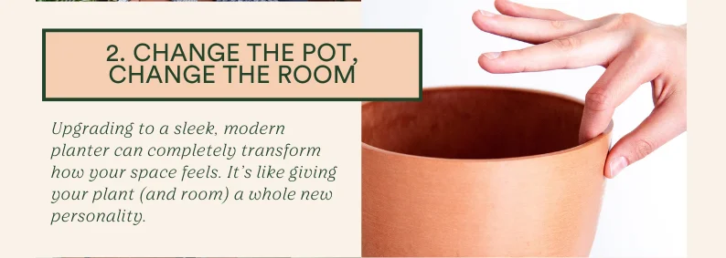 change the pot