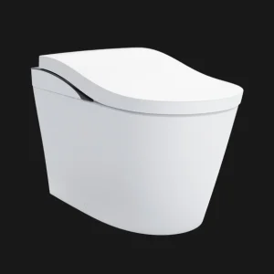 TOTO's NEOREST® LS Dual Flush Toilet