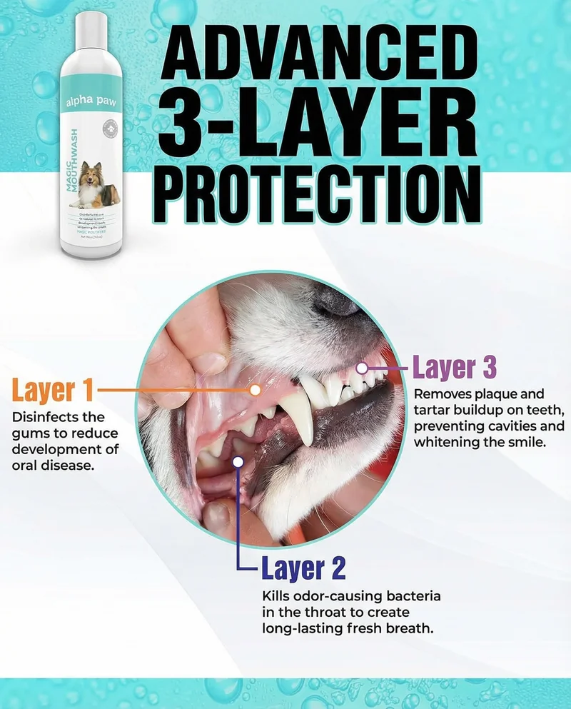 3-Layer Protection 3-Layer Protection