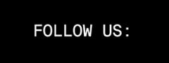 Follow Us