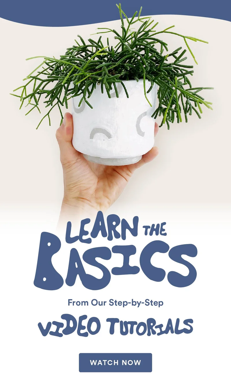 Let's learn together using our video tutorials!