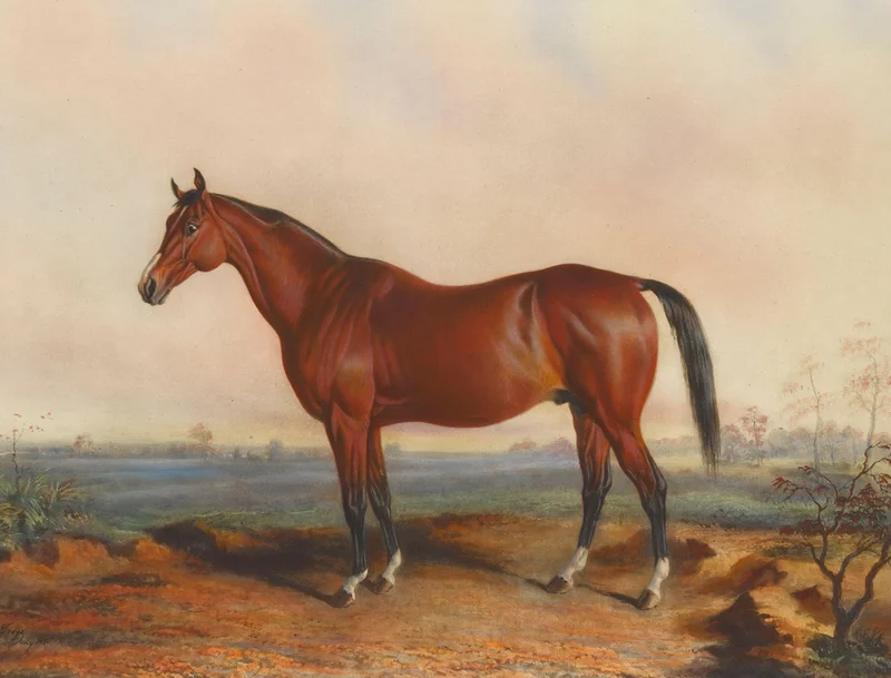 Painting of a brown racehorse named Lexington.
