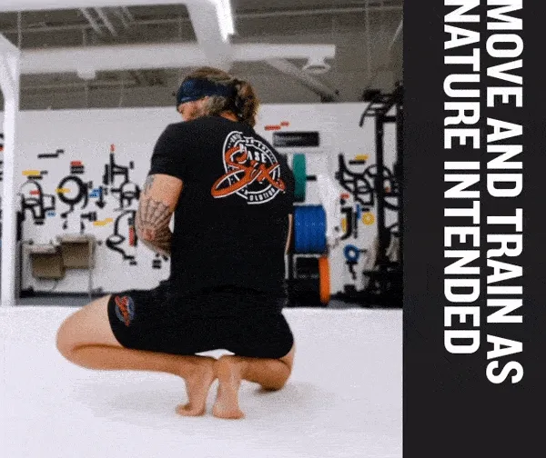 PRIMAL MOVEMENT COURSE