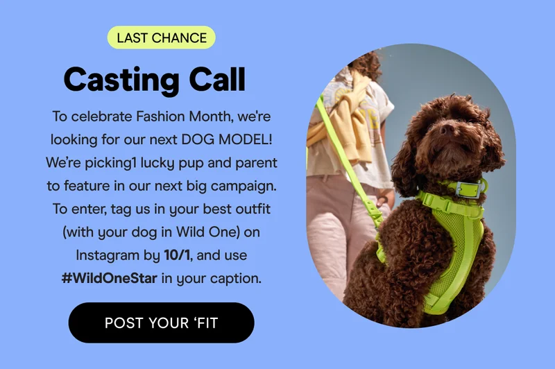 Last chance for our Casting Call!