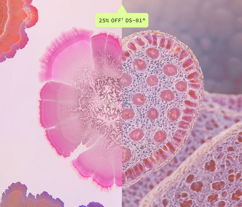 25% Off DS-01®