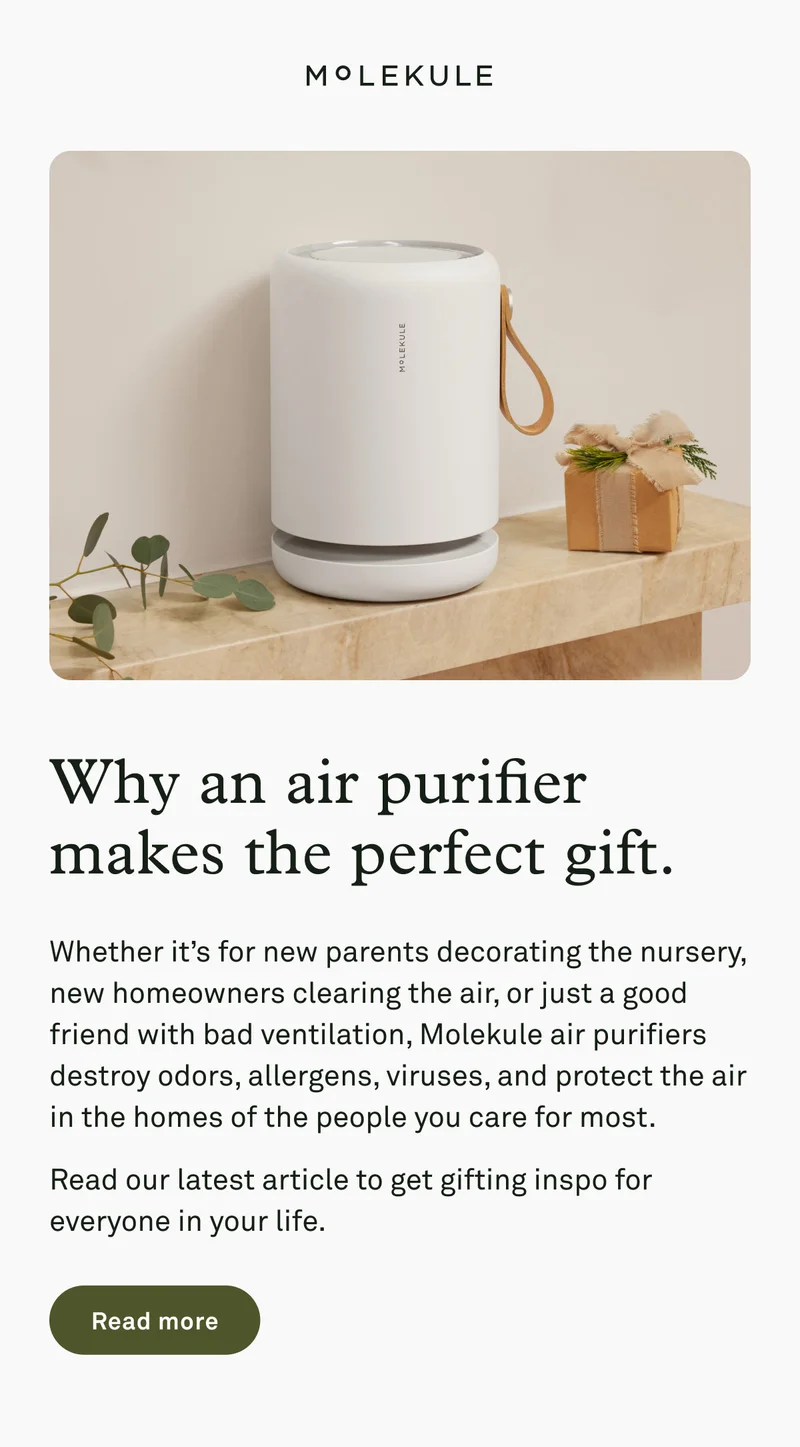 Why an air purifier makes the perfect gift.