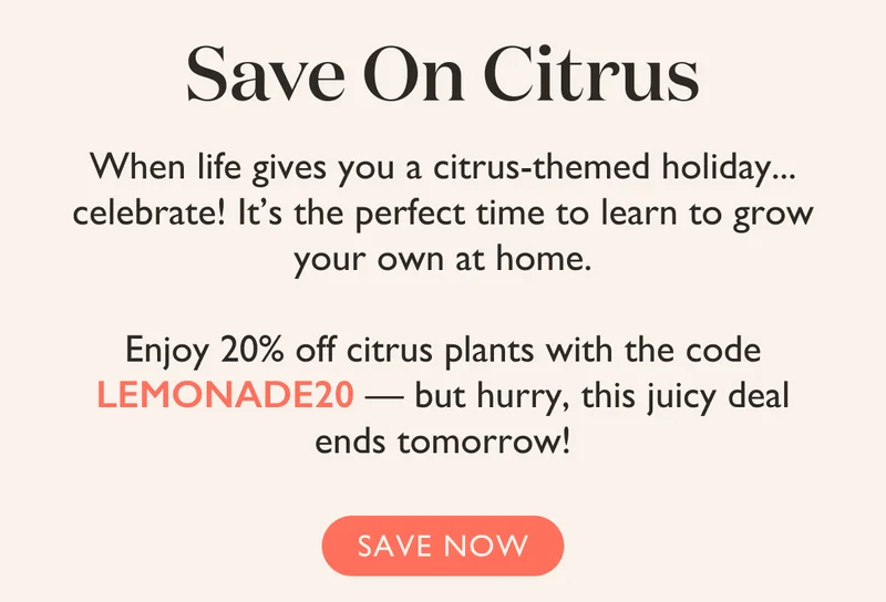 Save On Citrus: Use Code LEMONADE20