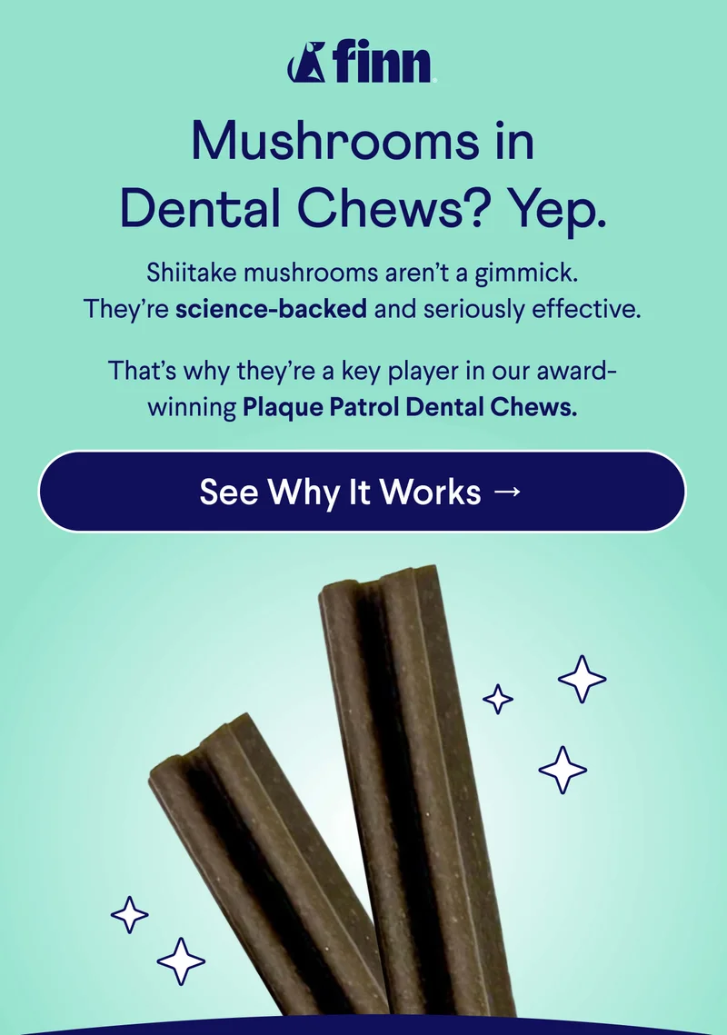 Finn logo. Text:Mushrooms in Dental Chews? Yep. Shiitake mushrooms aren’t a gimmick. They’re science-backed and seriously effective.  That’s why they’re a key player in our award-winning Plaque Patrol Dental Chews.  CTA: See Why It Works →