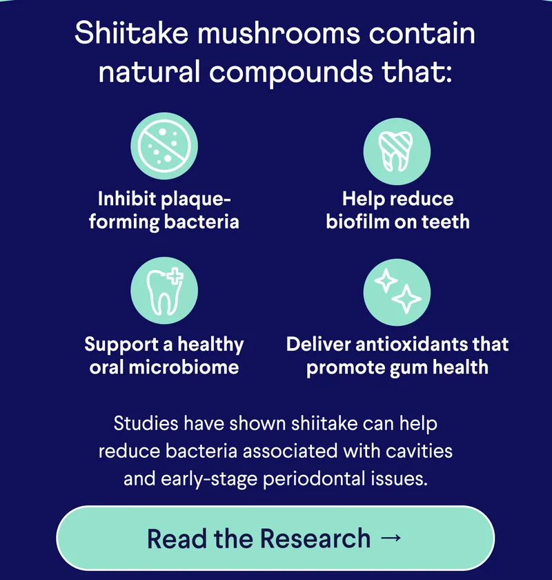 Text: Shiitake mushrooms contain natural compounds that: Inhibit plaque-forming bacteria Help reduce biofilm on teeth Support a healthy oral microbiome Deliver antioxidants that promote gum health Studies have shown shiitake can help reduce bacteria associated with cavities and early-stage periodontal issues. CTA: Read the Research →