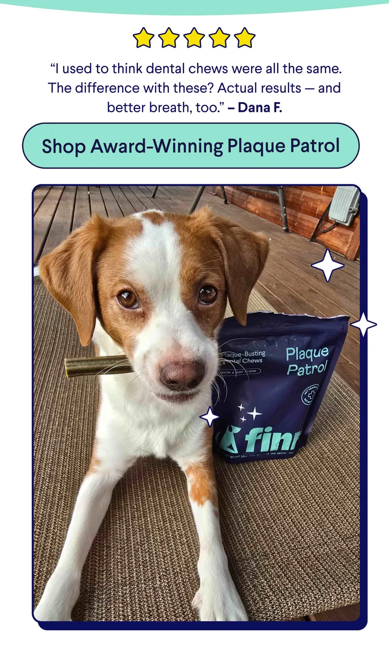 5 Star Customer Review: &nbsp;“I used to think dental chews were all the same. The difference with these? Actual results — and better breath, too.” – Dana F.  CTA: Shop Award-Winning Plaque Patrol