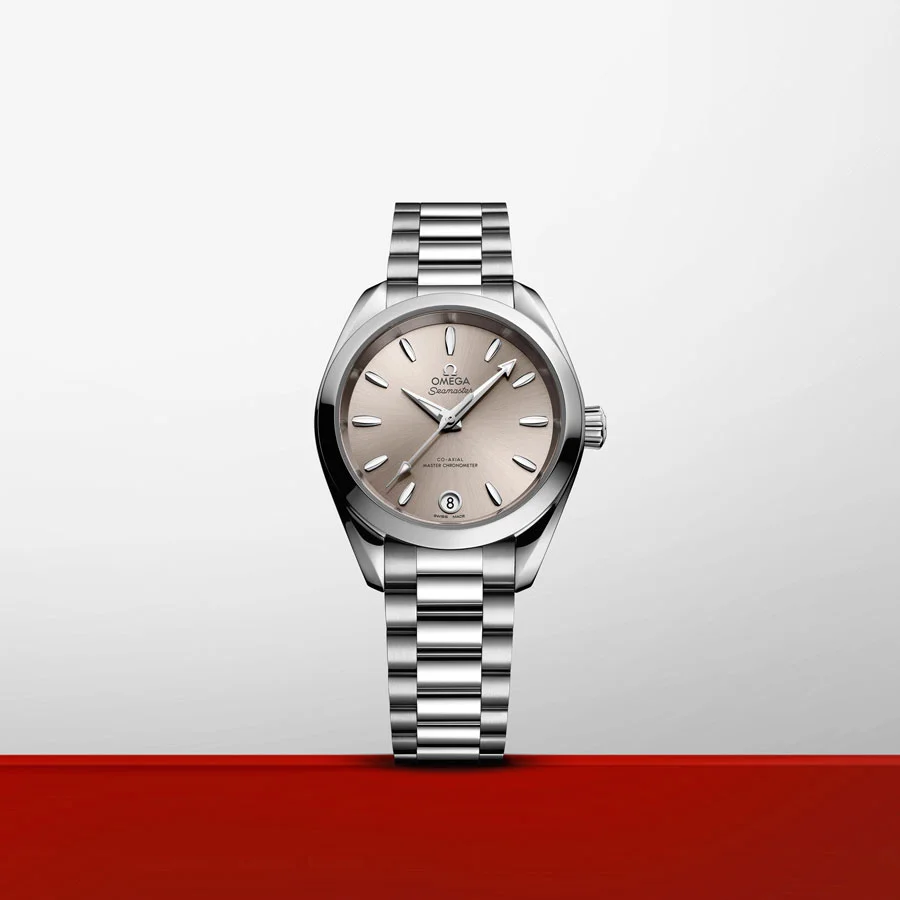 22010342009001 watch