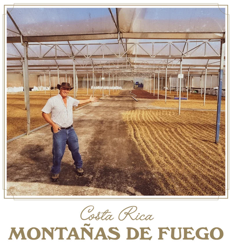 Luis Campos Varela from Costa Rica Cordillera de Fuego stands inside a large covered drying patio, gesturing across rows of coffee beans spread out to dry beneath the open-air structure. Text below reads: “Costa Rica Montañas de Fuego.”