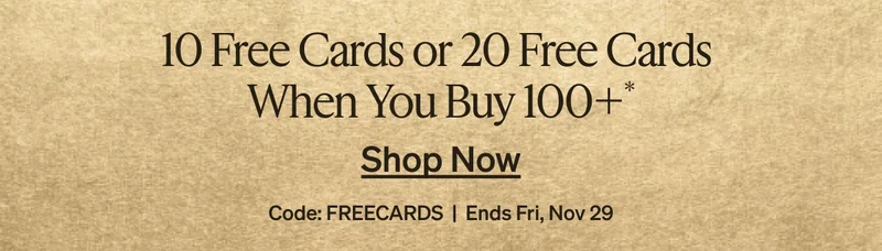 Black Friday Sale