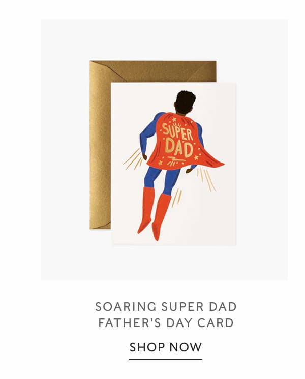 Soaring Super Dad