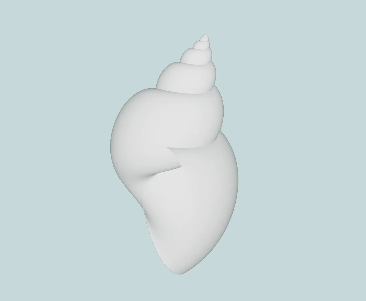 A gif of a rotating seashell