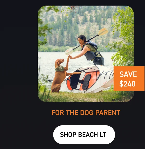 FOR THE DOG PARENT: SHOP BEACH LT $240 OFF FOR THE DOG PARENT: SHOP BEACH LT $240 OFF