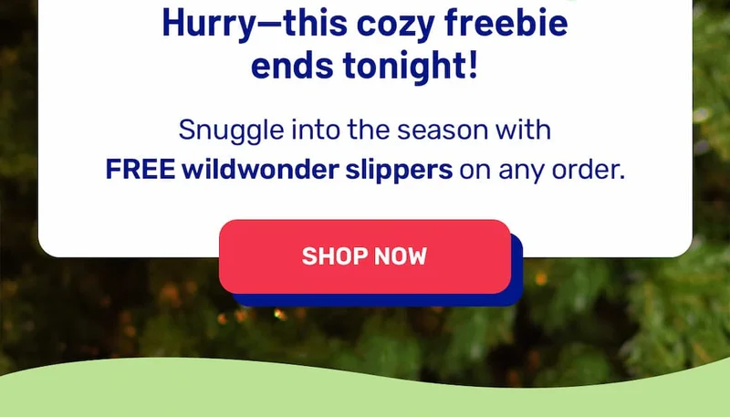 Get your slippers