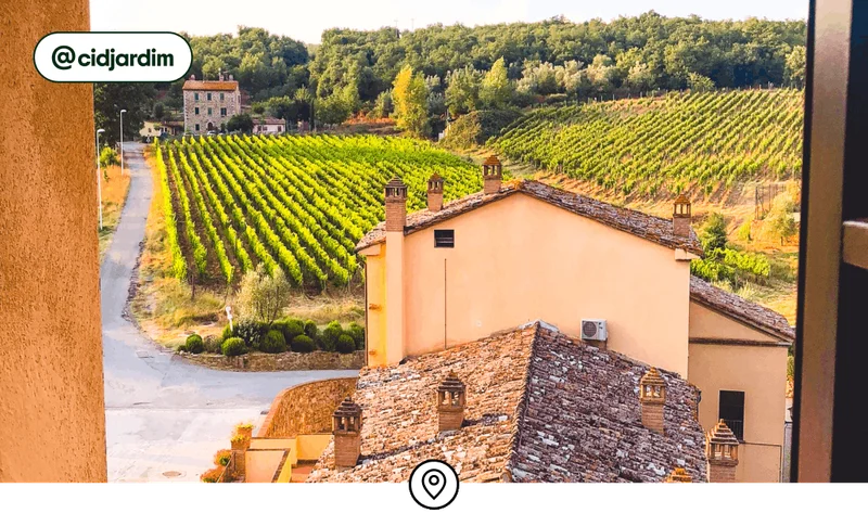 Image description: The view of a terracotta tiled roof and vineyards, photo taken by @cidjardim