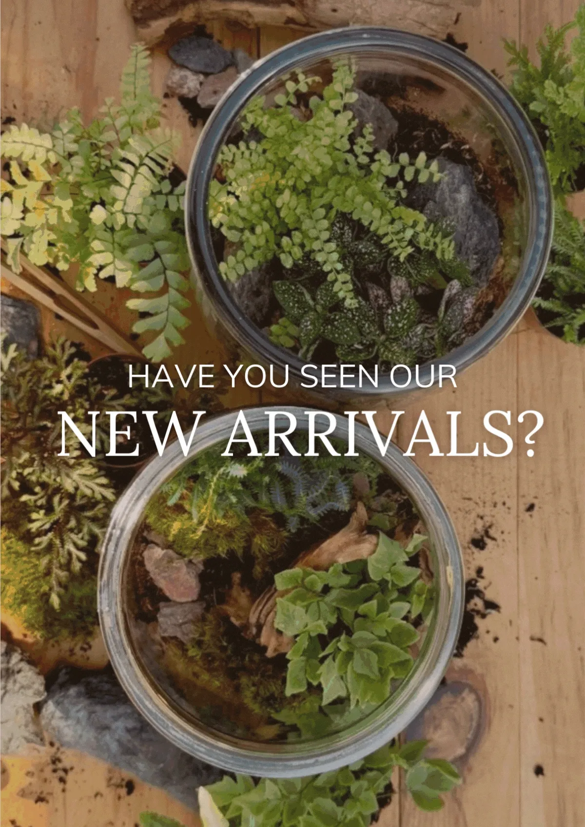 Shop New Arrivals