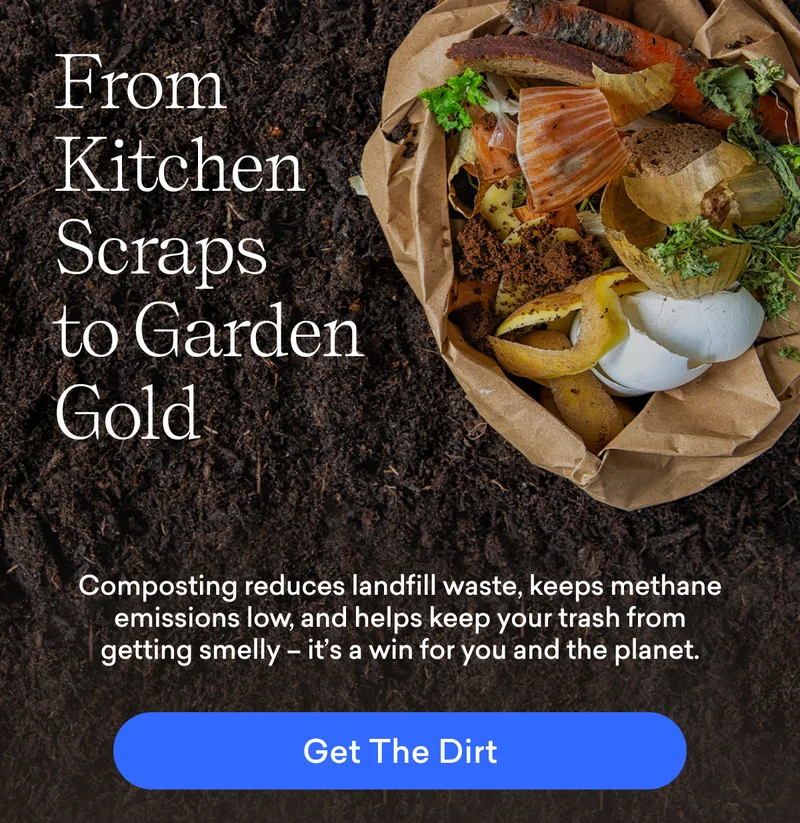 From Kitchen Scraps to Garden Gold