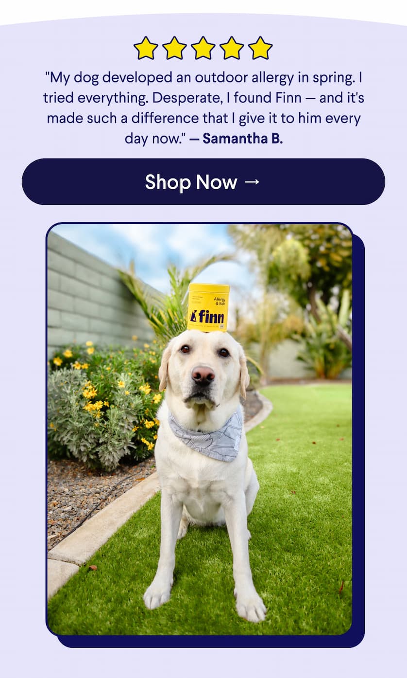 5-star customer review: "My dog developed an outdoor allergy in spring. I tried everything. Desperate, I found Finn — and it's made such a difference that I give it to him every day now." — Samantha B.  CTA: Shop Now →