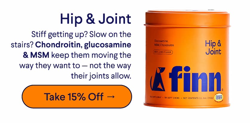 Text: Hip & Joint – Stiff getting up? Slow on the stairs? Chondroitin, glucosamine & MSM keep them moving the way they want to — not the way their joints allow. CTA: Take 15% Off →