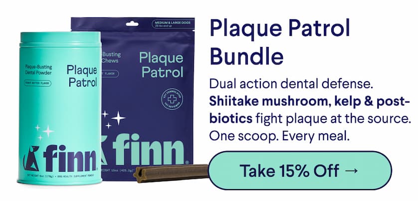 Text: Plaque Patrol Bundle – Dual action dental defense. Shiitake mushroom, kelp & post-biotics fight plaque at the source. One scoop. Every meal. CTA: Take 15% Off →