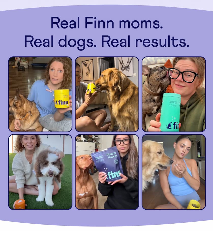 Text: Real Finn Moms. Real Dogs. Real Results. Collage of moms with their Finn tins