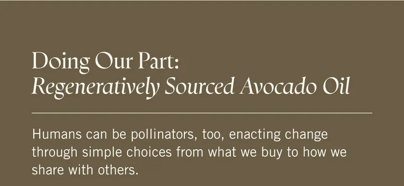 Doing Our Part: Regeneratively Sourced Avocado Oil Humans can be pollinators, too, enacting change through simple choices from what we buy to how we share with others.