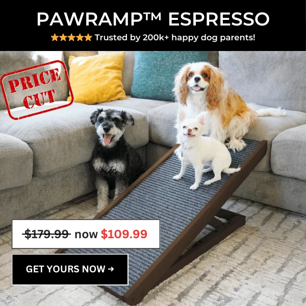 PawRamp Espresso Price Drop