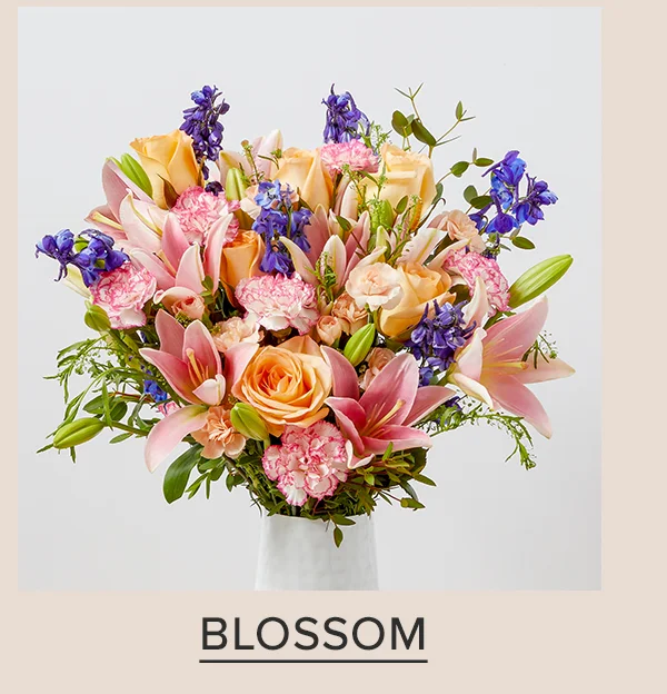 BLOSSOM