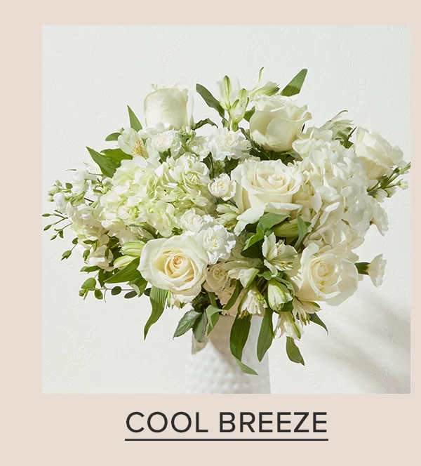 COOL BREEZE