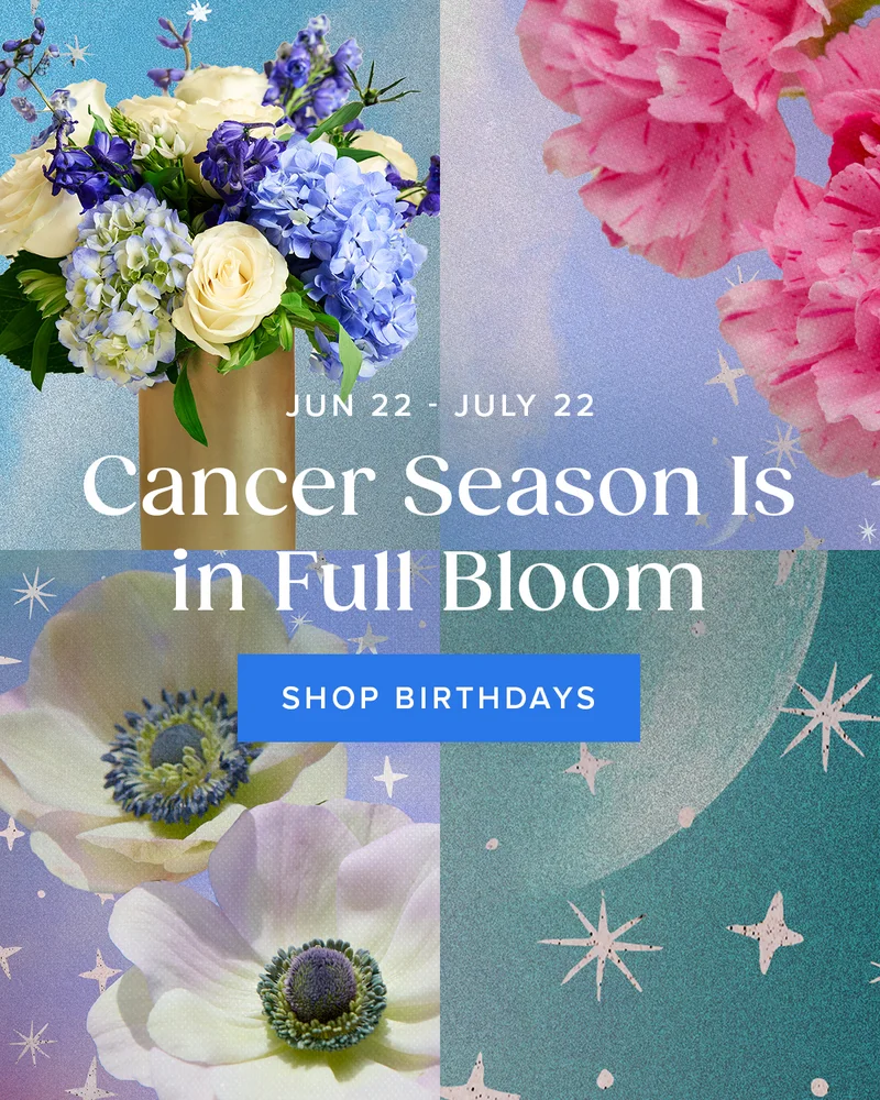 Cancer Season (June 22- July 22) Is in Full Bloom! Shop Birthdays