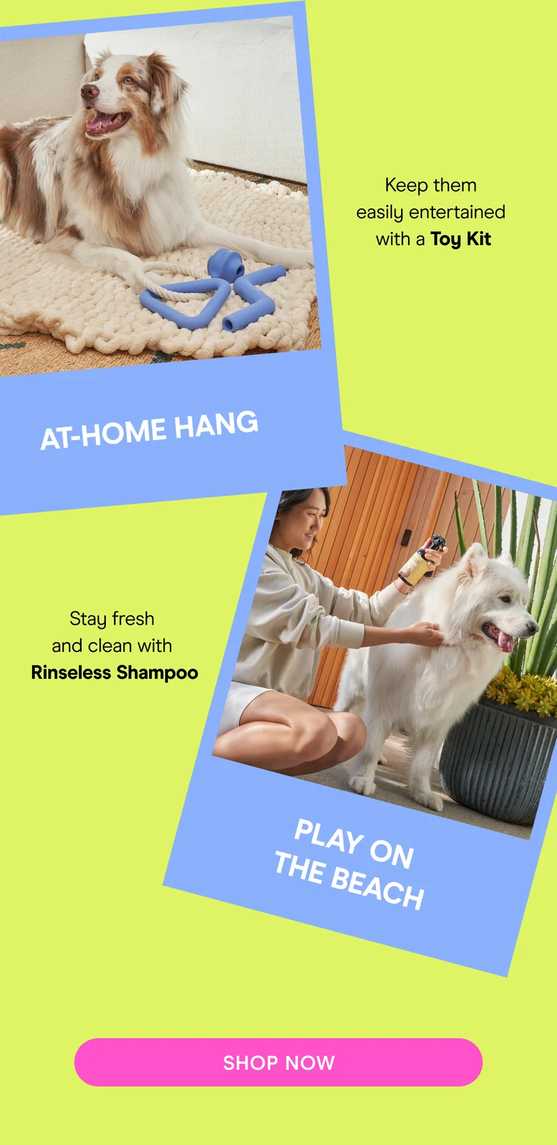 Keep them entertained with a Toy Kit. Stay fresh and clean with Rinseless Shampoo