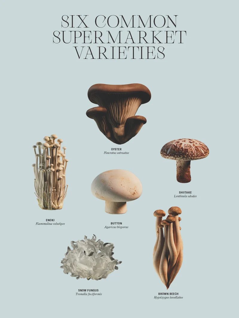 Mushrooms
