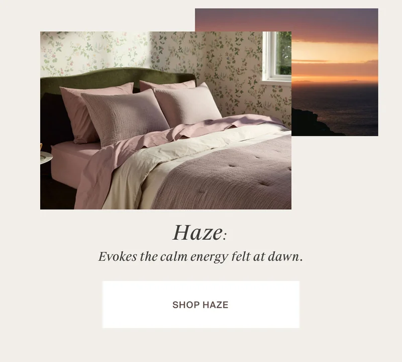 Shop Haze