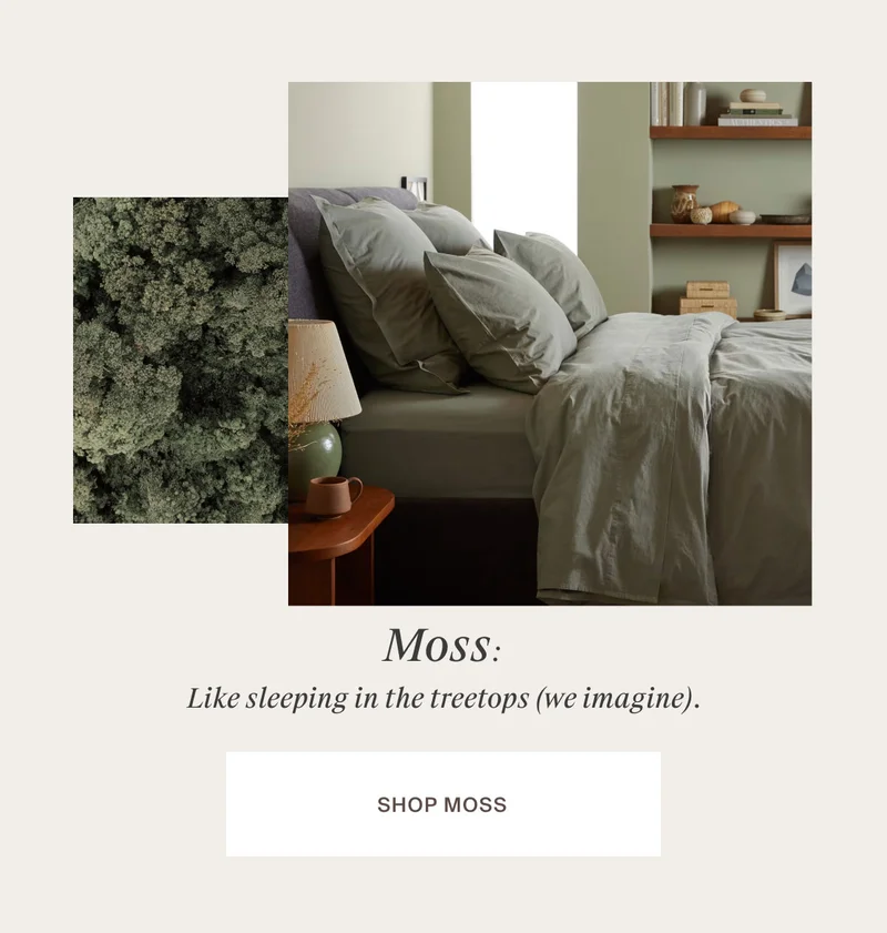 Shop Moss