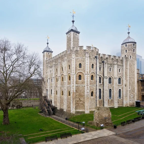 Photo of a castle featuring a tower. A bare tree is nearby, and a green lawn surrounds the castle and tower.