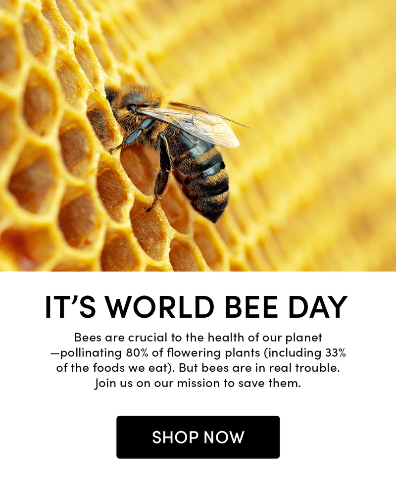 It’s World Bee Day                 Bees are crucial to the health of our plant—pollinating 80% of flowering plants (including 33% of the foods we eat). But bees are in real trouble. Join us on our mission to save them.