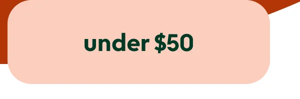 christmas-gifts-under-50