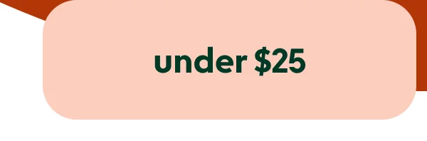 christmas-gifts-under-25