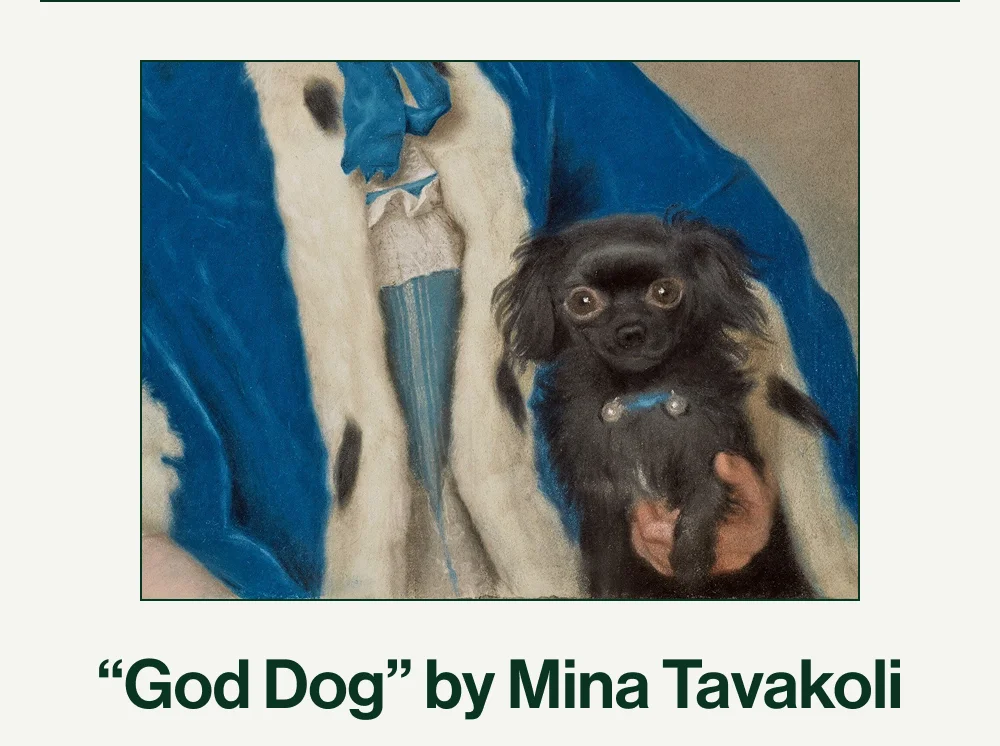 "Good Dog" by Mina Tavakoli